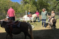 carousel-in-use