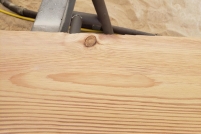 cedar-after-2